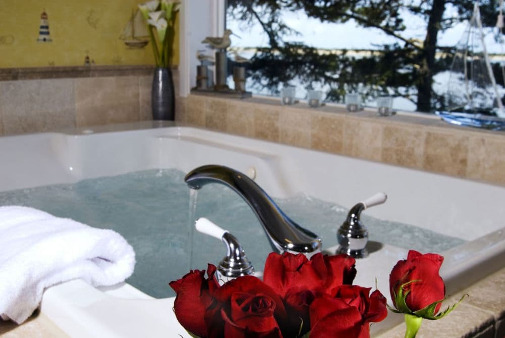 Close-up of a jacuzzi tub with running water, a white towel, and a bouquet of red roses, with a window overlooking trees and the waterfront in the background.